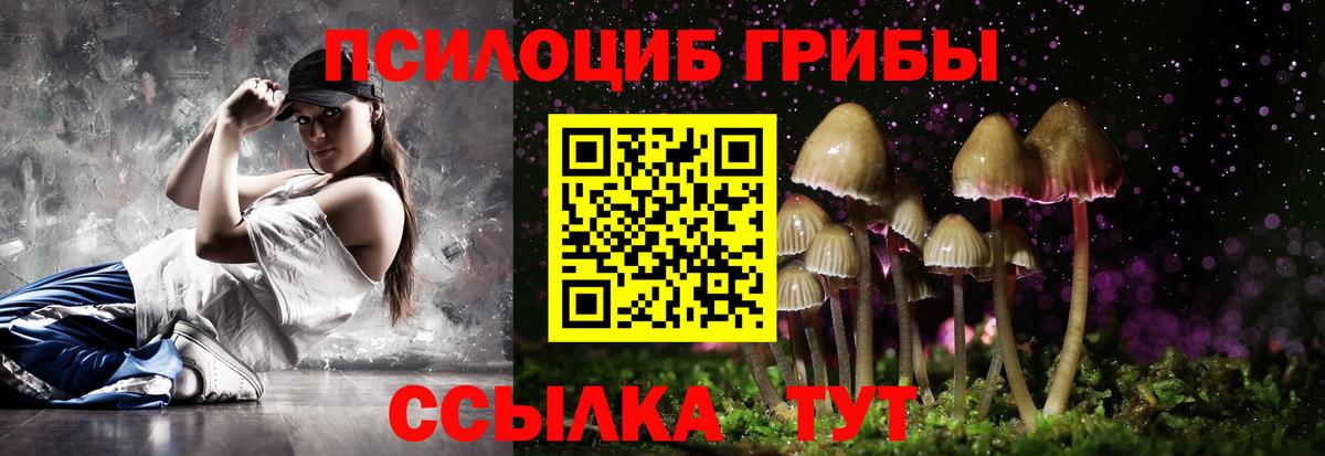 Псилоцибиновые грибы Psilocybine cubensis Усолье-Сибирское