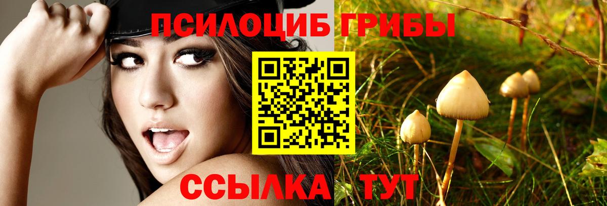 Усолье-Сибирское  Галлюциногенные грибы Cubensis  Вход с VPN  Галлюциногенные грибы GOLDEN TEACHER 